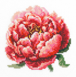 SMALL FLOWER: RED PEONY