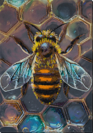 950 - KRALEN BORDUURPAKKET - Honey Motif - Honing Motief