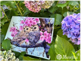 TWO OWLS IN SPRING BLOSSOM - MEREJKA (228)