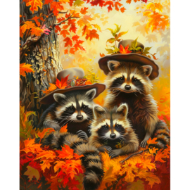 DP426 - Canvas op houten frame - Wasbeer Trio - 40 x 50 cm
