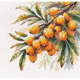 1734  Borduurpakket -  A sprig of sea buckthorn - OVEN