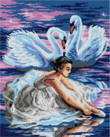 3048 - SWANLAKE - ORCHIDEA 40 x 50 (STRAMIEN)