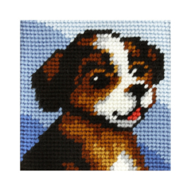 9607 - MY FIRST EMBROIDERY - ORCHIDEA - BRUIN HONDJE