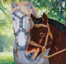 KRALEN BORDUURPAKKET - A Pair of Horses - Een koppeltje Paarden - 1259