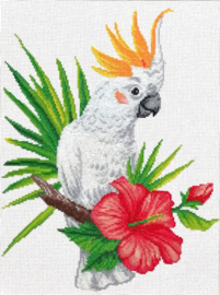 VOORBEDRUKT BORDUURPAKKET COCKATOO CALL - NEEDLEART WORLD