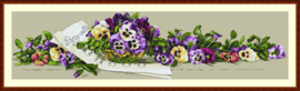 PANSY WALTZ (41)