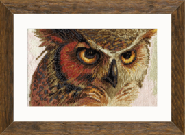 HB5509 Borduurpakket Nova Sloboda - Owl - Uil - 14 count