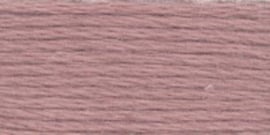 VENUS BORDUURGAREN #25 - 2689 (DMC 3860)