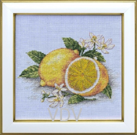 309 - Borduurpakket VDV (gedeeltelijk kraaltjes) - Lemon - Citroen