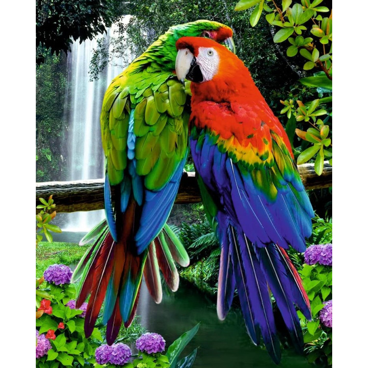 VA802 - DP - Canvas op houten frame - Papagaaien - 30 x 40 cm