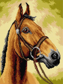 3593 - Horse -  ORCHIDEA 30 x 40 (STRAMIEN)
