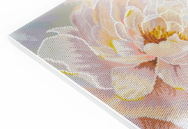 481-050 Floral Grace - Diamond Painting op houten frame - Letistitch (Limited Edition)