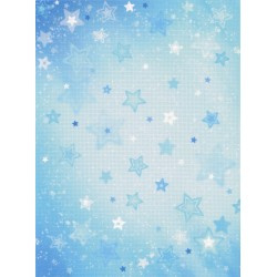 18 count 27 x 36 DESIGNER CANVAS AIDA 078