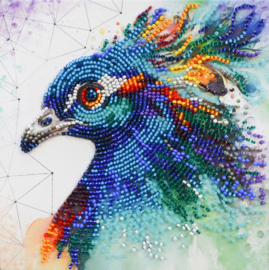 AM253 KRALEN BORDUURPAKKET Respectable Peacock - Respectabele Pauw