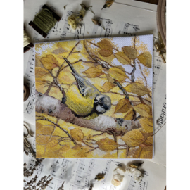 ANS-76 - Titmouse - Meesje - Andriana