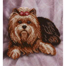 KRALEN BORDUURPAKKET - Yorkshire Terrier - 0133