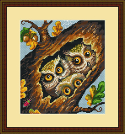 OWLS (32)