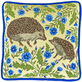 PETIT POINT BORDUURPAKKET CATHERINE ROWE - PRICKLY PAIR - BOTHY THREADS