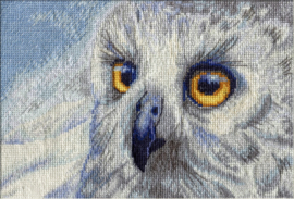 Nova Sloboda (met witte aida) (Oekraine)