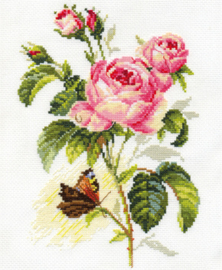 FLOWERS - ROSE AND BUTTERFLY - ALISA