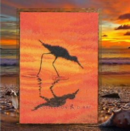 M01054 -  Sandbill - RTO