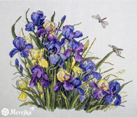 IRISES (122) aida