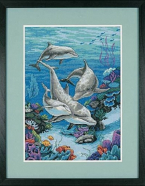 The Dolphins Domain - Dimensions (USA)
