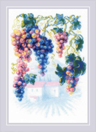 2135 GENEROUS GRAPEVINE - (Vrijgevige druivenboom) - RIOLIS