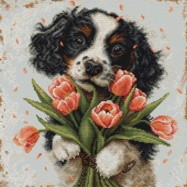 BU5067  Borduurpakket Luca-S - The Cocker Spaniel Puppy - De Puppy