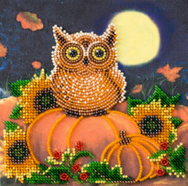 AM190 - KRALEN BORDUURPAKKET Night Guest - ABRIS ART