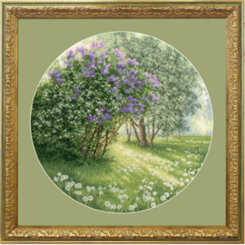 S/VM043 Blooming Lilac - Golden Fleece