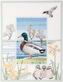 BORDUURPAKKET WILDLIFE - MALLARD - DWD