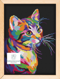 Borduurpakket Colourful CAT 872