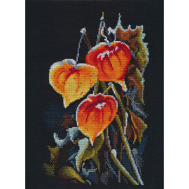 1617 Physalis on Black S1617 - OVEN