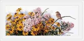 BLACK EYED SUSANS AND PHLOX  (208)