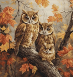 BU5045  Borduurpakket Luca-S - The Owls Family - De familie Uil