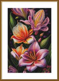 PE3565 Borduurpakket Nova Sloboda - Flower rhapsody - Bloemen Rapsodie