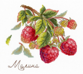 NV-816 A GIFT OF NATURE - RASPBERRIES (Geschenk van de natuur - Framboos)