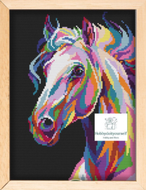 Borduurpakket Colourful HORSE 913