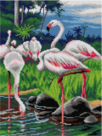 Voorbedrukt stramien FLAMINGOS - ORCHIDEA 30 x 40