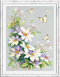 BUTTERFLY: CLEMATIS