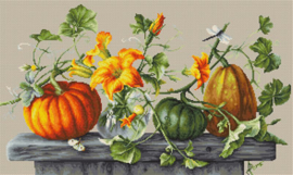 B2303 PUMPKINS (aida)