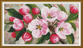 CP1526 Borduurpakket Nova Sloboda - Apple Tree Scent - Appelboom Geur