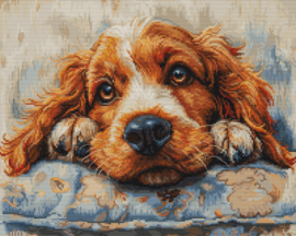 BU5058  Borduurpakket Luca-S - Cocker Spaniel