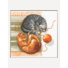 A1035 - Borduurpakket Cats and Threads - Aine