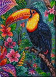 949 - KRALEN BORDUURPAKKET - The Exotic Beau - De Exotische Schoonheid