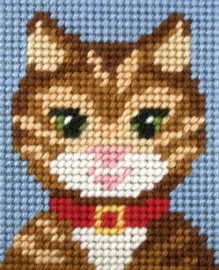 9729 - MY FIRST EMBROIDERY - ORCHIDEA - POES MET ROOD BANDJE