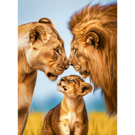 VA856 - DP - Canvas op houten frame - Leeuwen Familie - 30 x 40 cm
