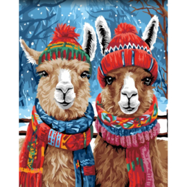 DP407 - Canvas op houten frame - Lama's - 40 x 50 cm