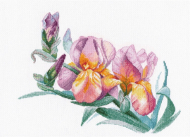 1644  Borduurpakket - Golden Irises - OVEN